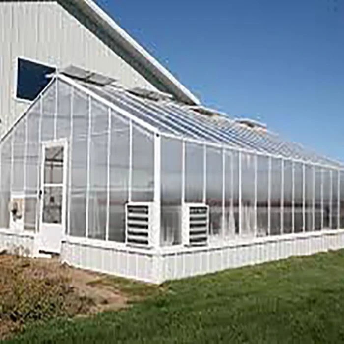 Hydroponic Greenhouse