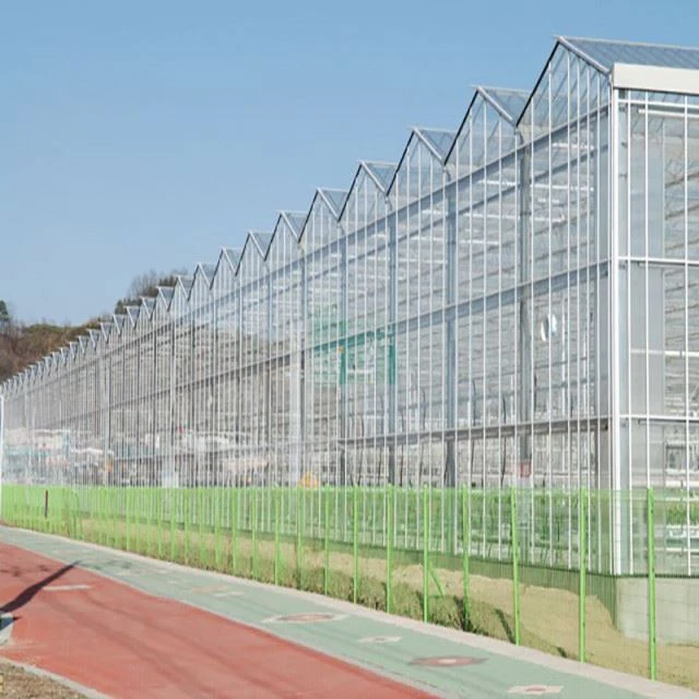 Hydroponic Greenhouse