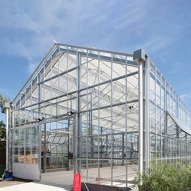 Pepper Greenhouse